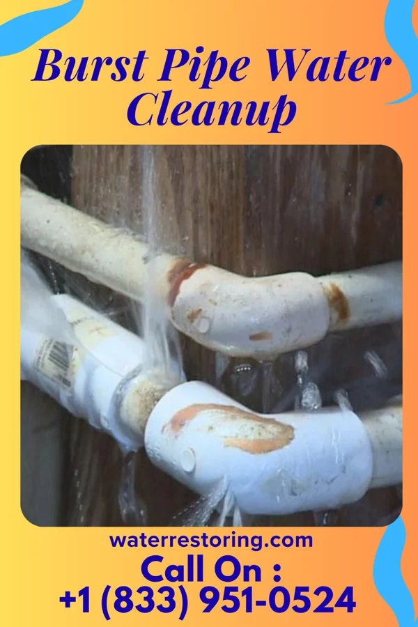 Burst Pipe Water Cleanup in Cairo, NE